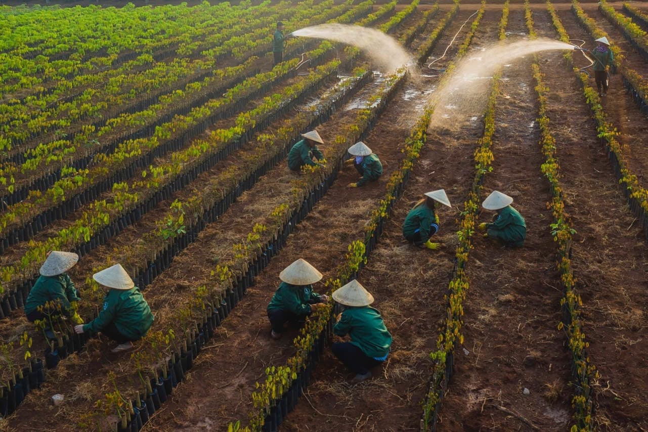 Môi Trường Xanh Ngọc Ý team