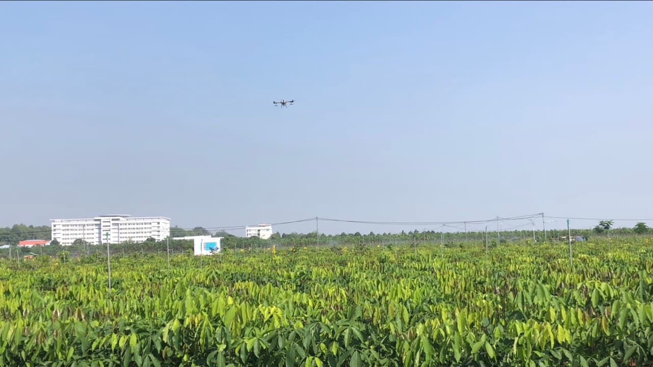 Môi trường xanh Ngọc Y