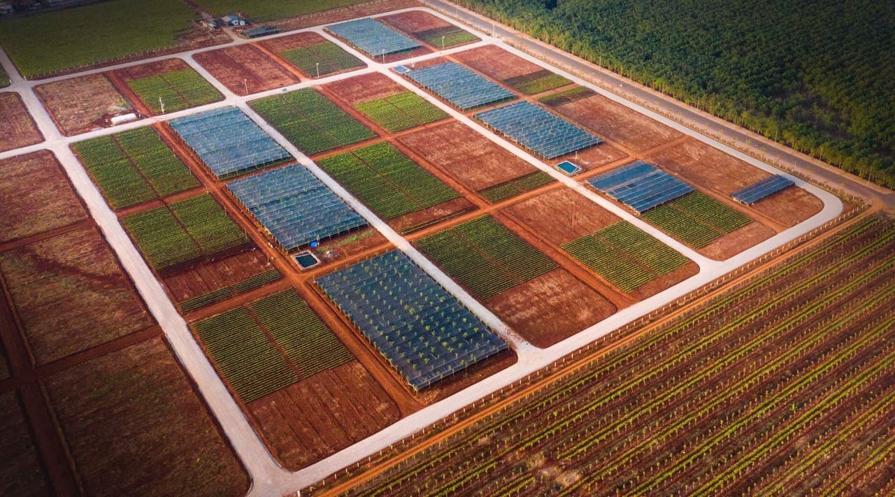 Môi trường xanh Ngọc Y