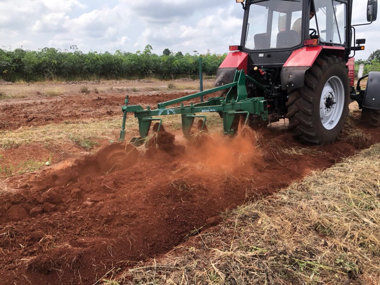 Môi trường xanh Ngọc Y