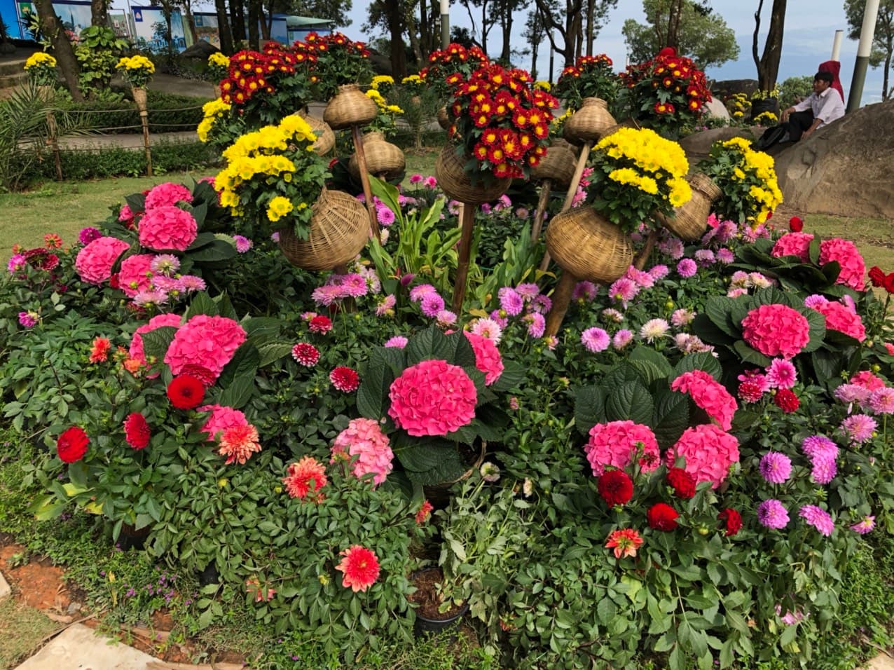 Thi công cảnh quan xanh